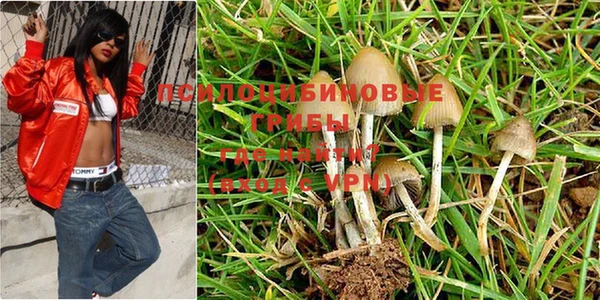 круглые Верея
