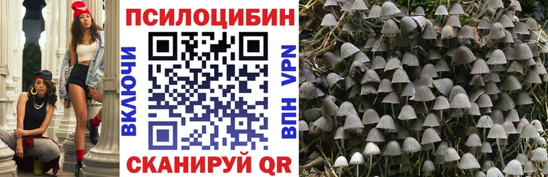 Галлюциногенные грибы мухоморы  Казань 